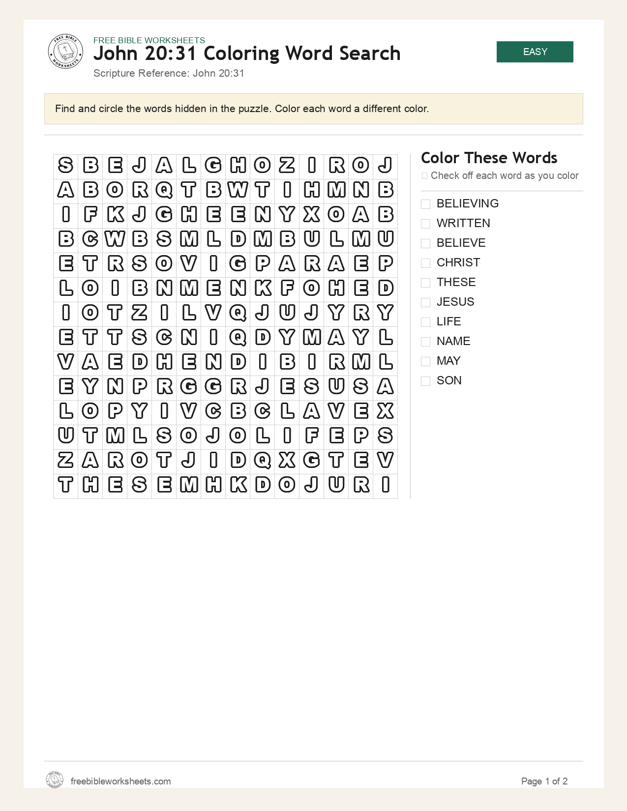 John 20:31 Coloring Word Search preview