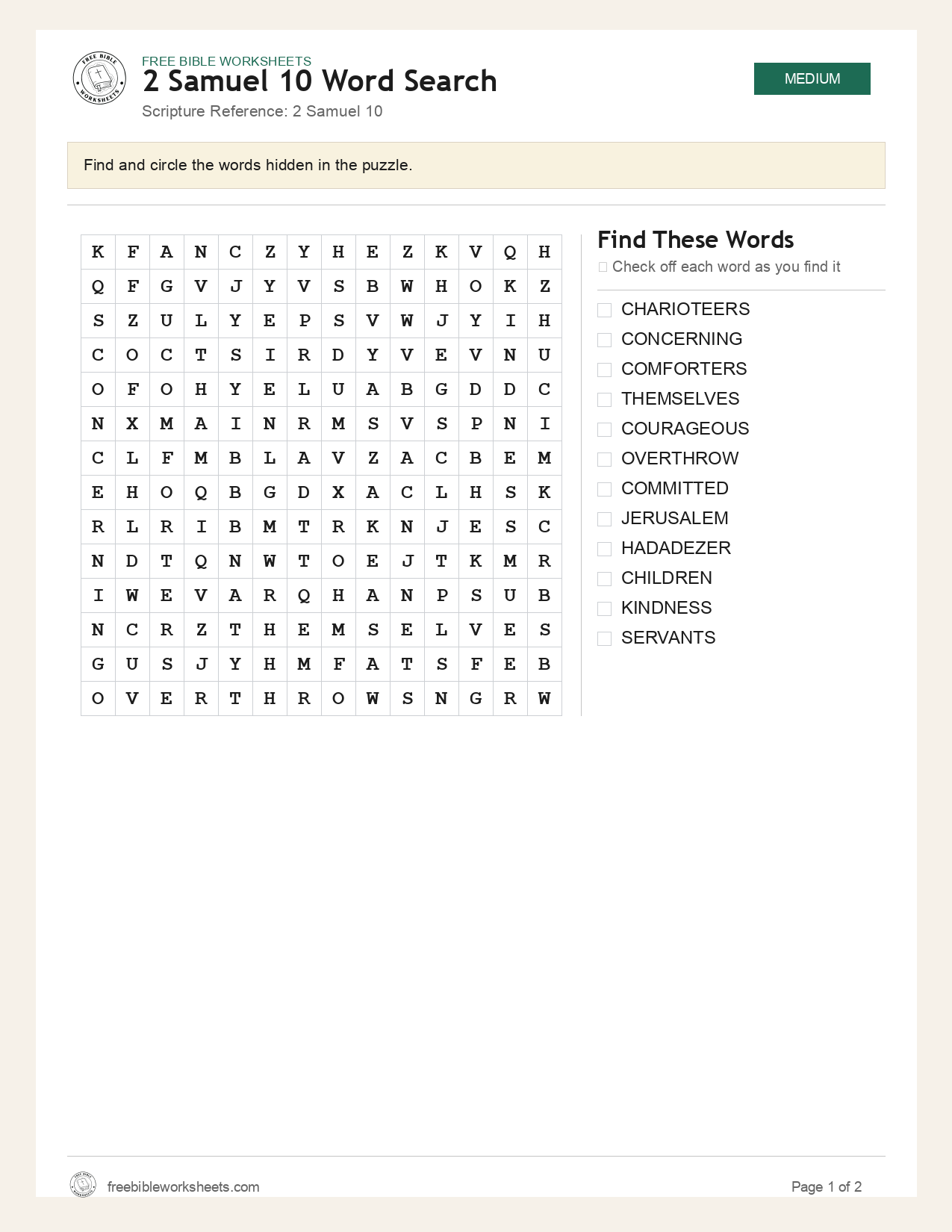 2 Samuel 10 Word Search preview