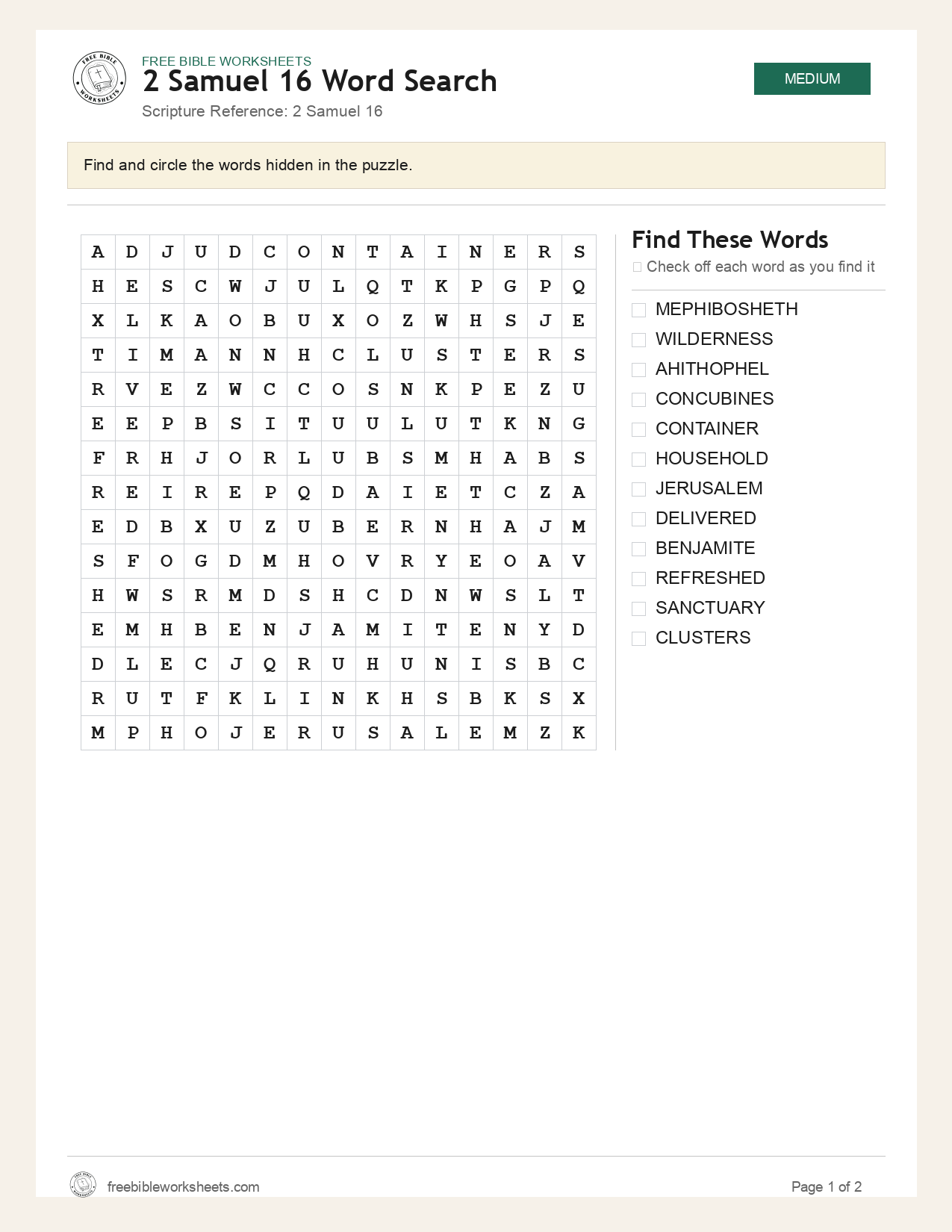 2 Samuel 16 Word Search preview