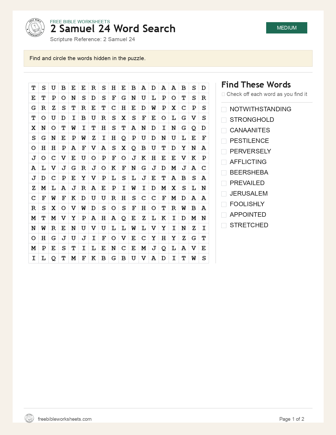 2 Samuel 24 Word Search preview