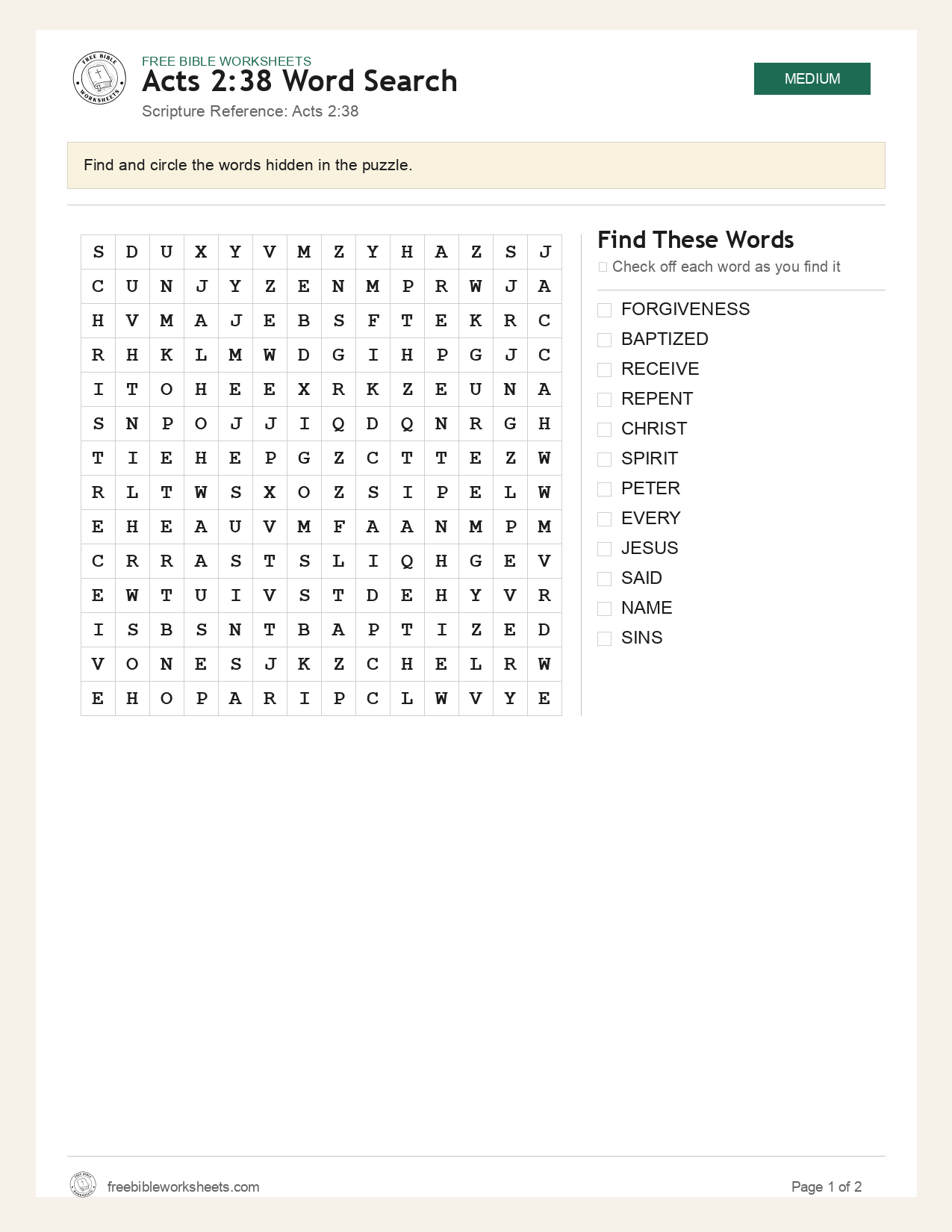 Acts 2:38 Word Search preview