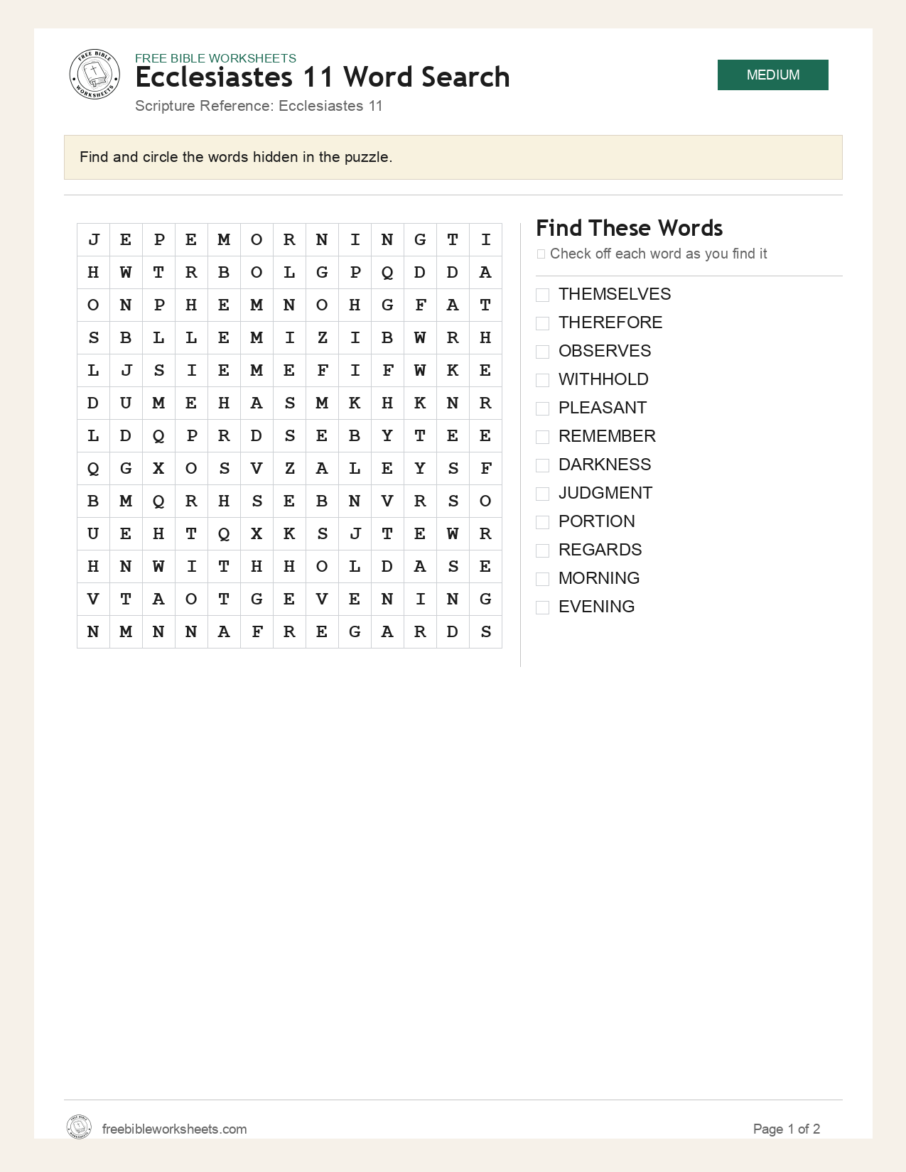 Ecclesiastes 11 Word Search preview
