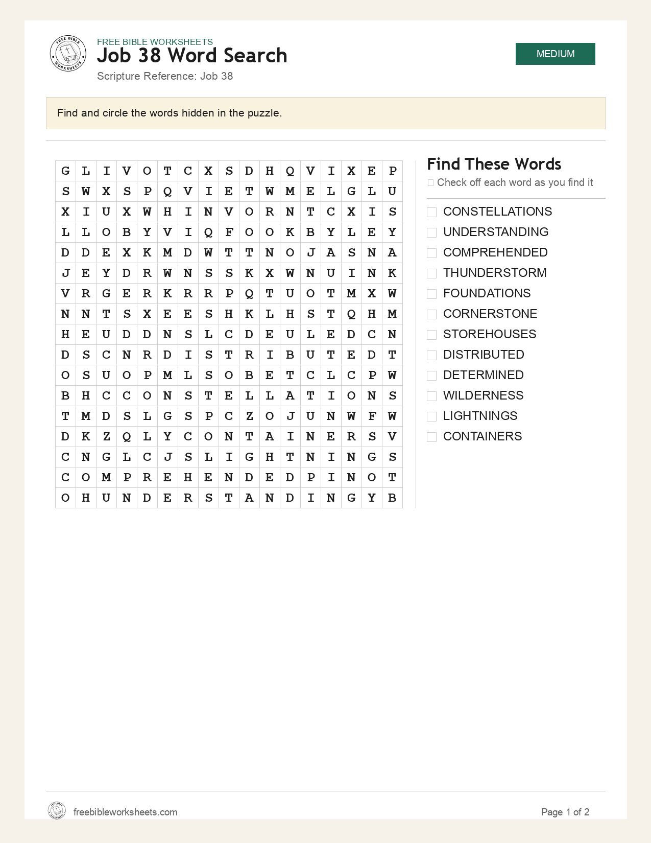 Job 38 Word Search preview