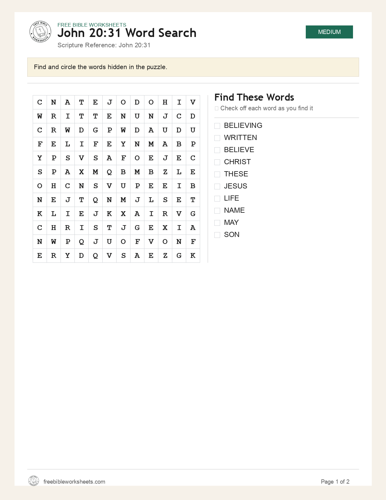 John 20:31 Word Search preview