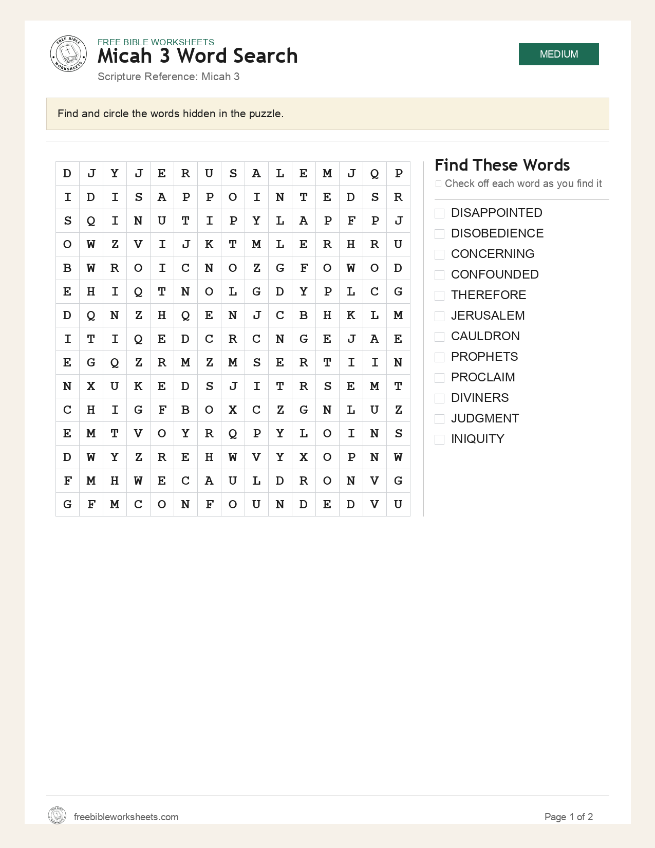 Micah 3 Word Search preview